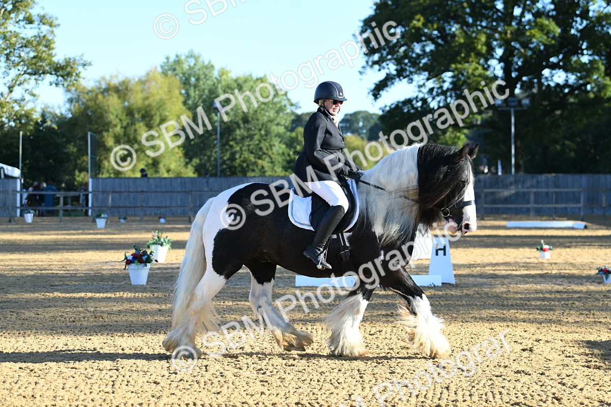 SBM_14458 - D4 - Small Tour Championship - Intro B