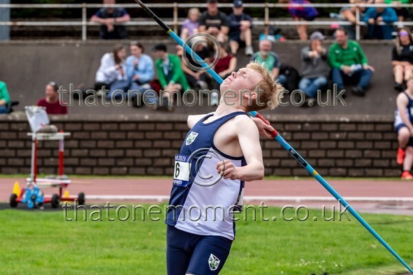 SIAB23-528457 - Field Male Set Two