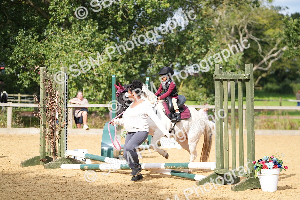 SBM_64347 - J2 - Mini Tour Junior Pony 30cm Championship