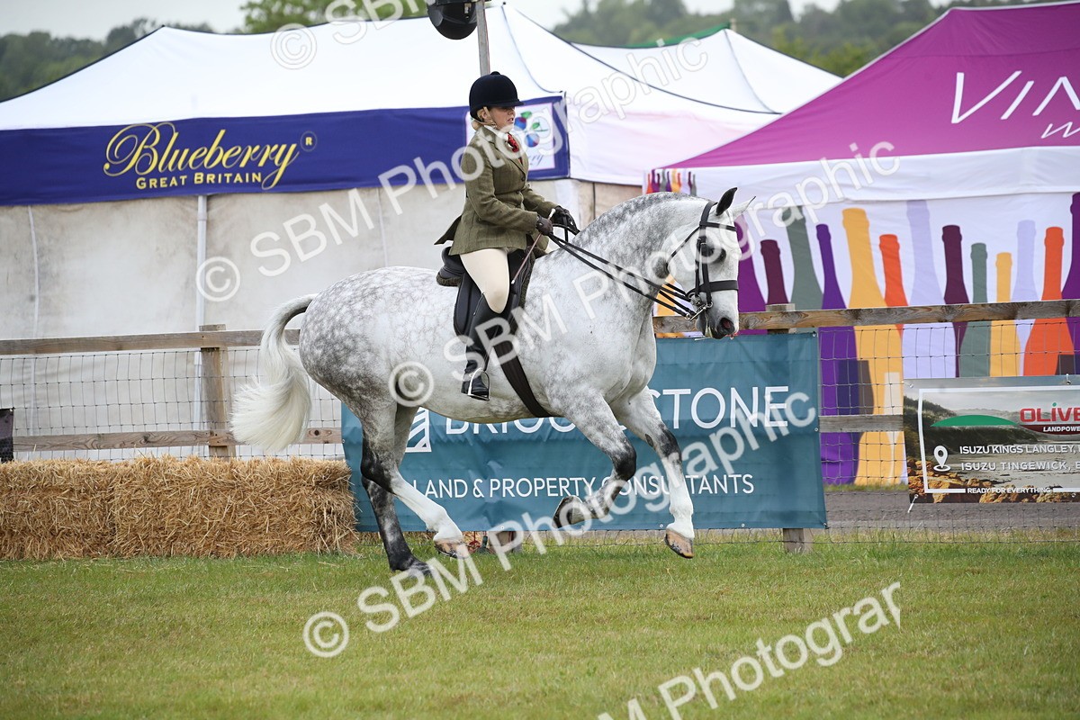 SBM_11073 - Class 92-93 - LIHS BSHA Rising Star Cobs