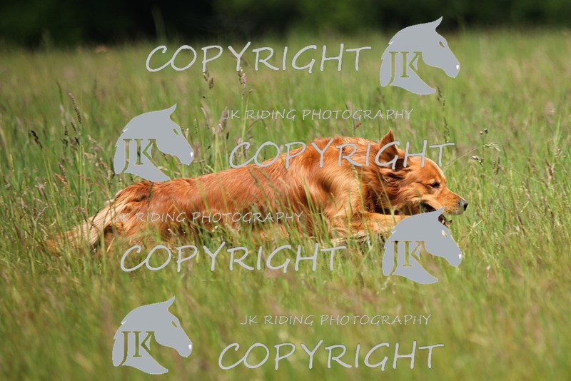 2R6A8265 - 5 Chris