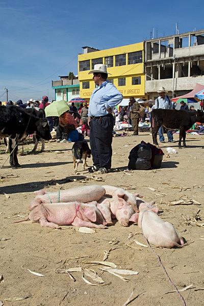  - Guatemala