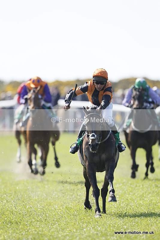  GRD 030510 160 - Guernsey Race Day 03/05/10