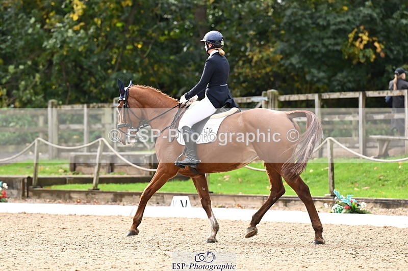 251023A-124134-02301 - B-154-Holly.Law