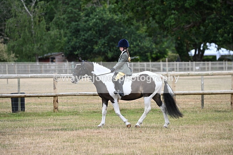 WJ6_3784 - Class 9 Tack & Turnout