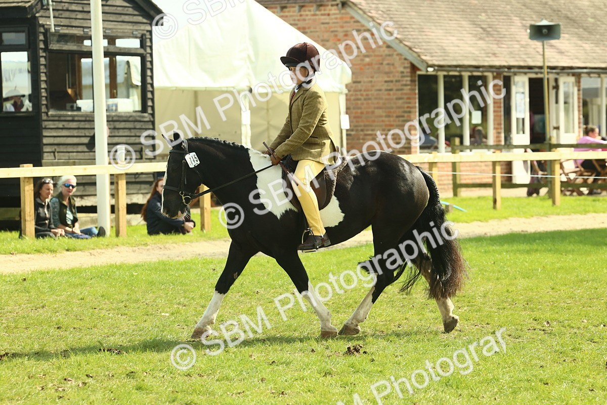 SBM_68881 - S58 - Mini Show Cob Ridden