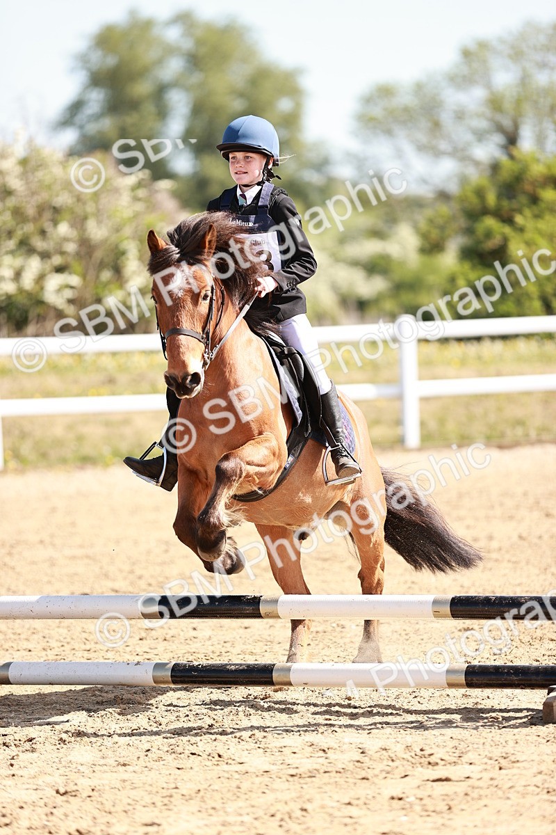 SBM_006866 - Class 2 - 50cm