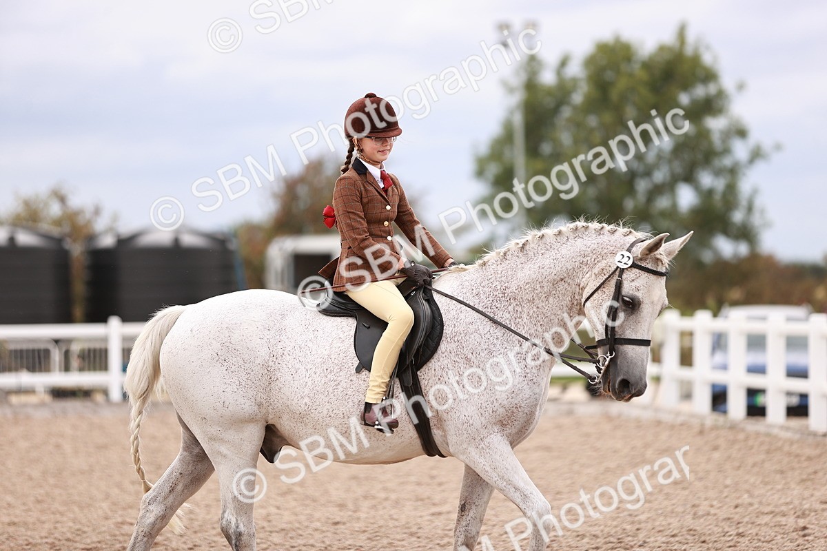 SBM_18534 - Class 421 - Childs Best Friend - Jnr