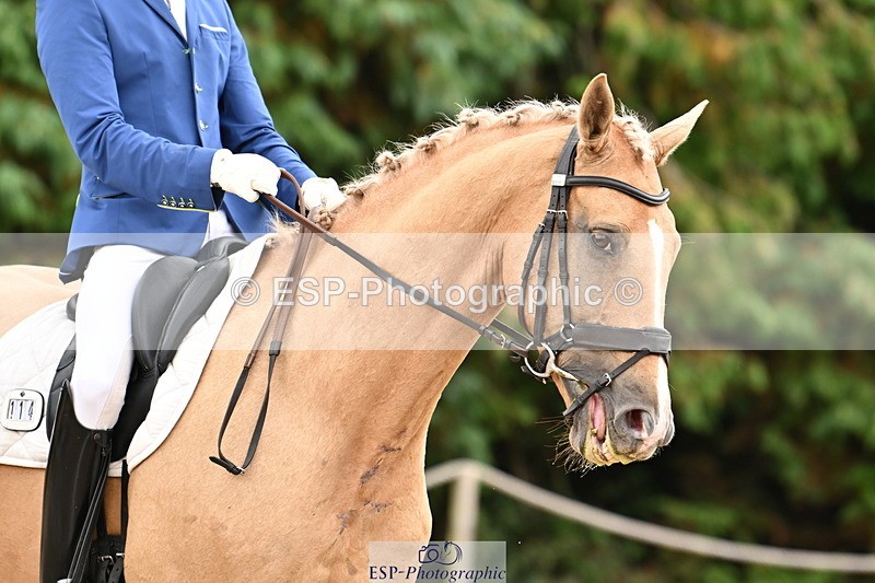 250808A-112703-00490 - 114-Jack.Speakman-JSA.Shakespeare