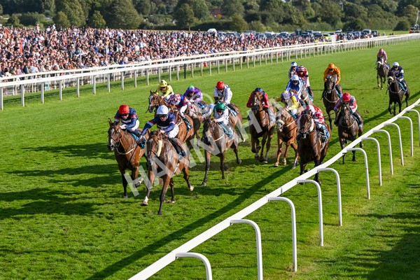 240824-Race 7-Sir Busker-1976 - Race 7 5.20pm Sky Bet Finale Handicap
