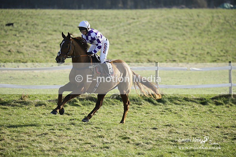 PtP 270222 424 - South & West Wilts Point-to-Point Larkhill 27/02/22