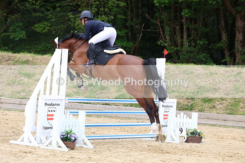 3E7A6190 - Class 4: Senior British Novice/90cm open