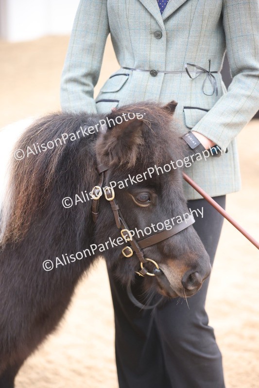 20251109-0241 - Class 11 - 2 and 3 Year Old