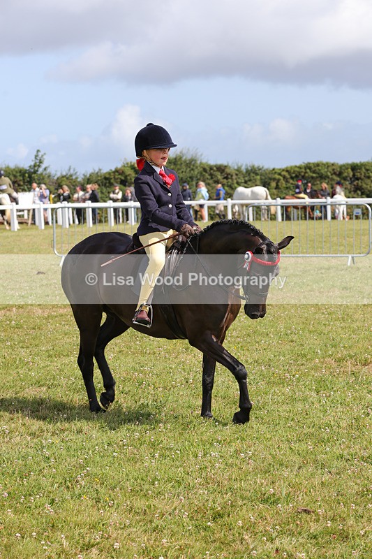 1X9A3742 - Class 30: First Ridden SP/SHP