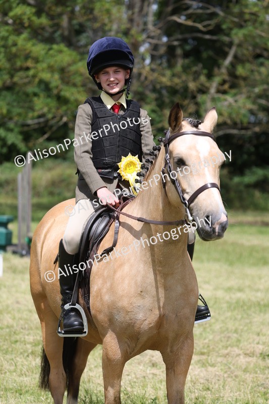 20260614-2151 - Class 21 - Novice Working Hunter Pony