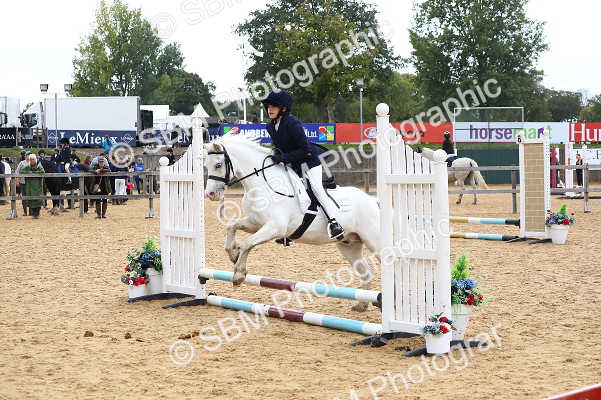 SBM_68116 - J3b - Mini Tour Junior Pony 40cm Championship