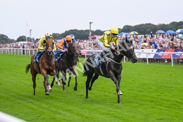 080925-Race 1-Proud Nation-7174 - Race 1 2.30pm Enter ITV7 For Free Confined EBF Maiden Stakes