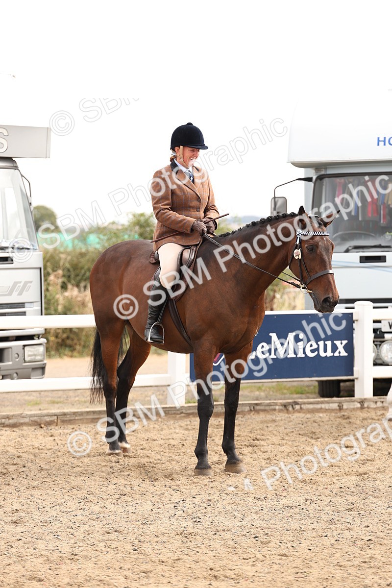SBM_02849 - Class 53 - Ridden Competition Horse/Pony