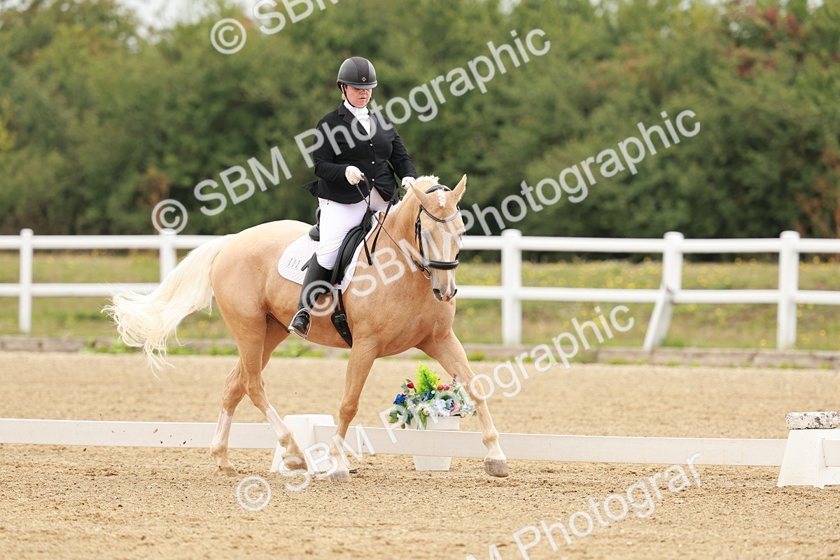 SBM_009114 - Class 12 - Elementary 6 - 9.30-10.34