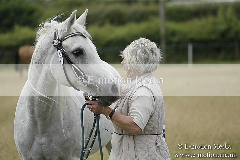 B230619-0500 - Bourne Valley Riding Club Summer Show 23/06/19