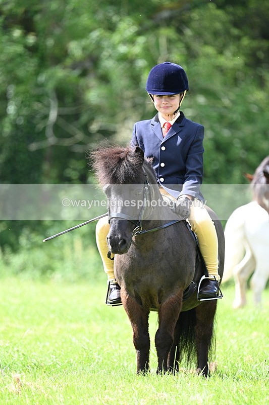 WJ7_1392 - Class 11 Condition & Turnout