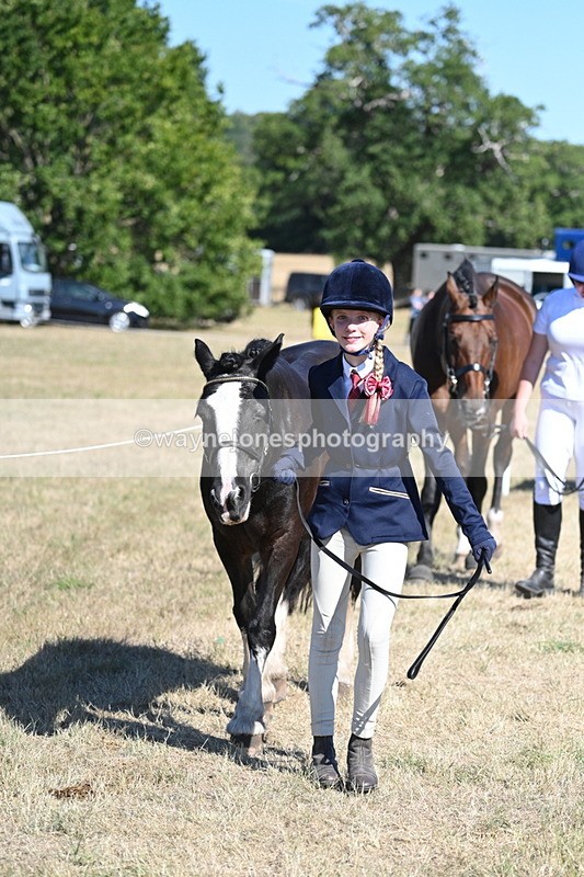 WJ7_1835 - Class 43 Best Six Legs (In hand)