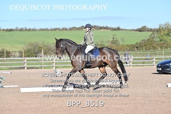 BPP_8519 - LONG ARENA