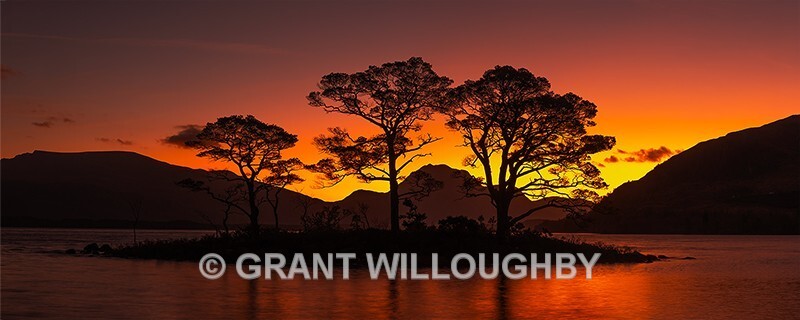 Pre sunrise -  Another day and its all mine! - Latest work