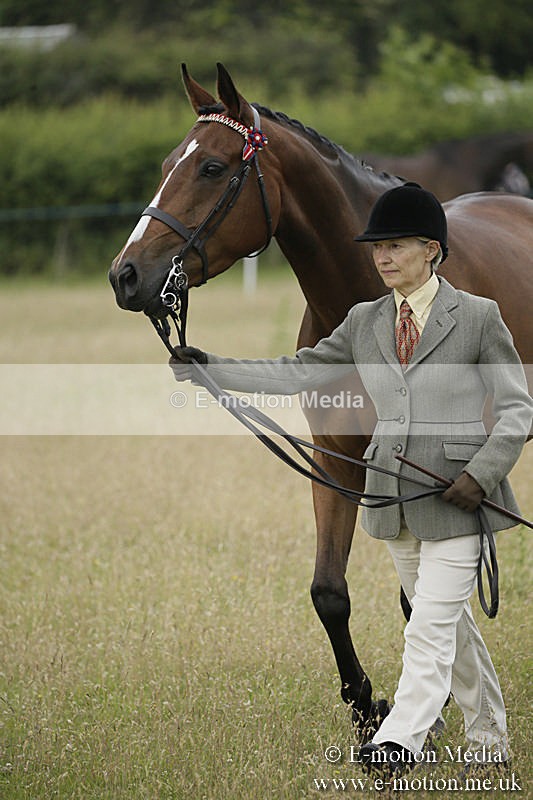B230619-0235 - Bourne Valley Riding Club Summer Show 23/06/19