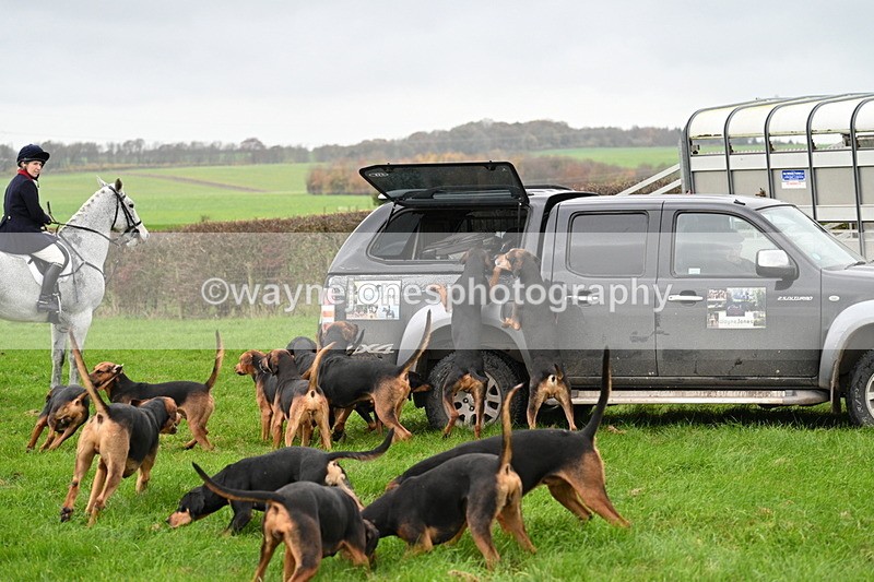WJ7_8878 - Meet Staff & Hounds