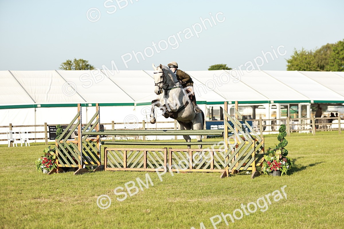 SBM_20419 - Class 117-119 - Sport Horse Working Hunter
