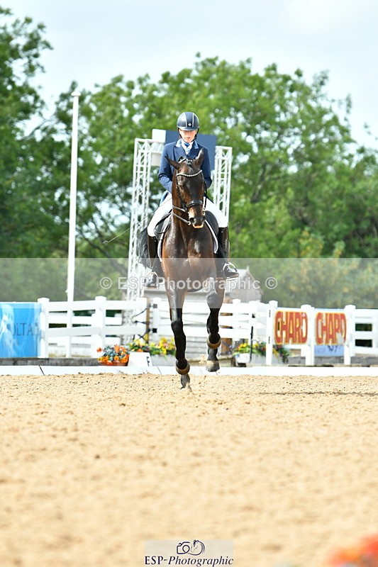 230702A-161905-11156 - Cls 37 + 42 FEI PSG + GP