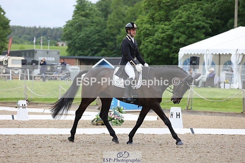 240523-090304-03045 - 201-PRIMITIVE_FUNTIME-Roberto_Scalisi