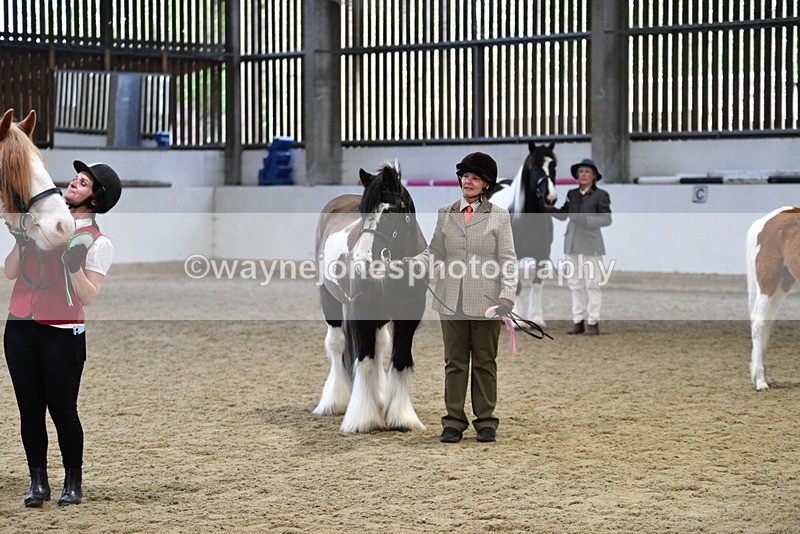 WJ5_5158 - Class 7 In hand coloured / odd coloured