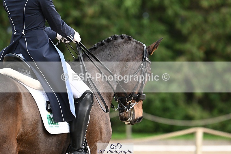 231110-152256-02167 - Cls 11 FEI PSG