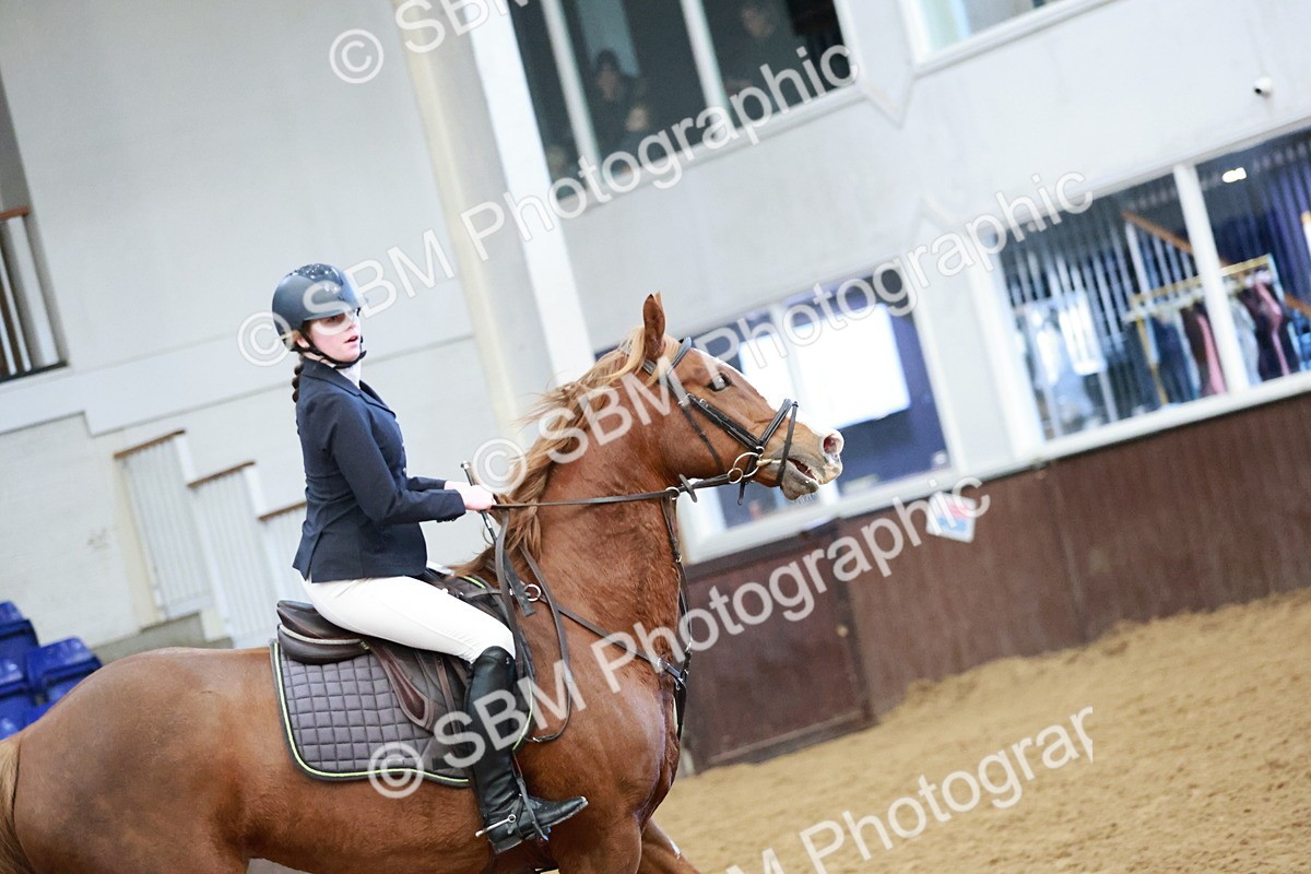 SBM_002993 - Class 9 - Senior British Novice - 90cm