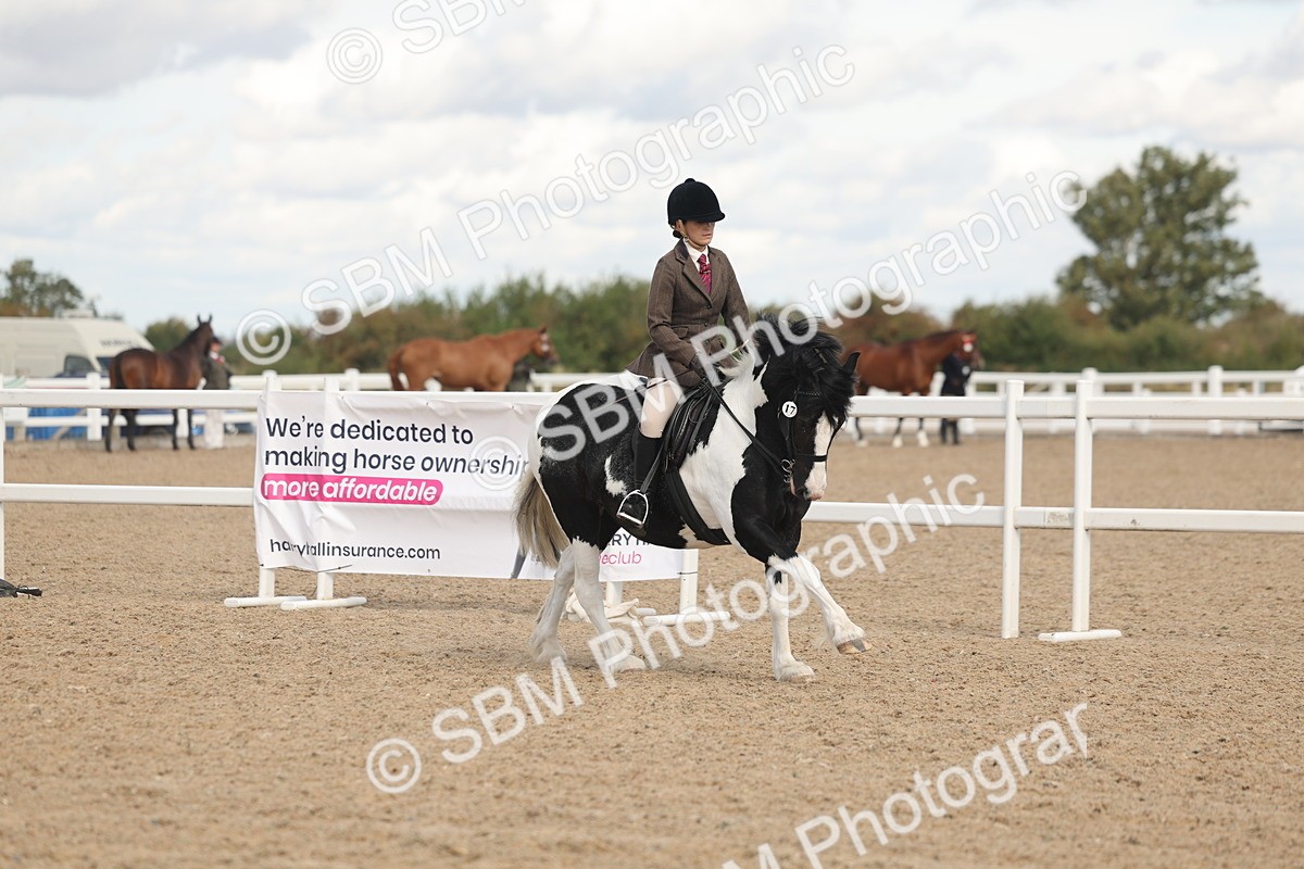 SBM_14645 - Class 307 - Ridden Coloured Pony