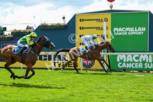 140625-Race 2-My Dream World-2334 - Race 2 2.25pm Queen Mother's Cup Handicap