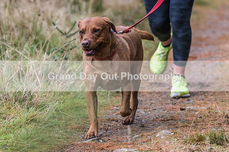 Glentress-1066 - High Terrain Events Glentress 21 & 10K Trail Races Saturday 15th November 2025