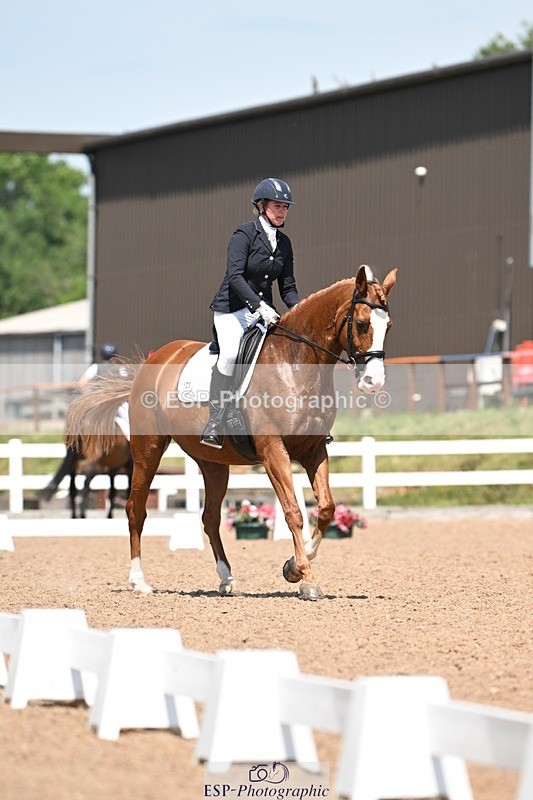 250620-140338-04120 - BD Cls 8 - Elementary 6