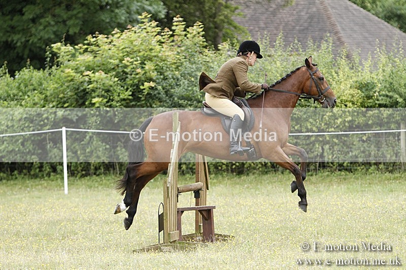 BVR160717-1676 - Ring 3 BVRC Show 16/07/17