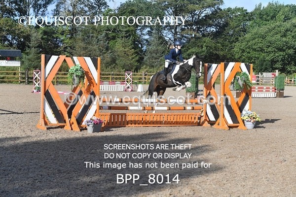 BPP_8014 - CLASS 31 SUN Club/ Unaffiliated 80cms Open