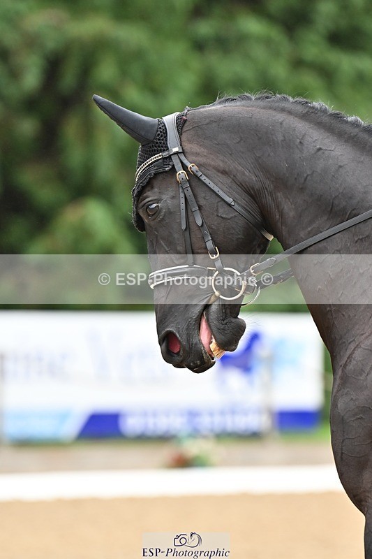 240811-095944-04651 - 117-Katie.Kneen-Springtime.Everafter