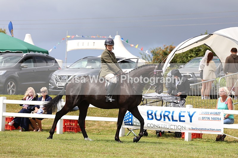 3E7A0780 - Class 8: Open Riding Horse/Hack