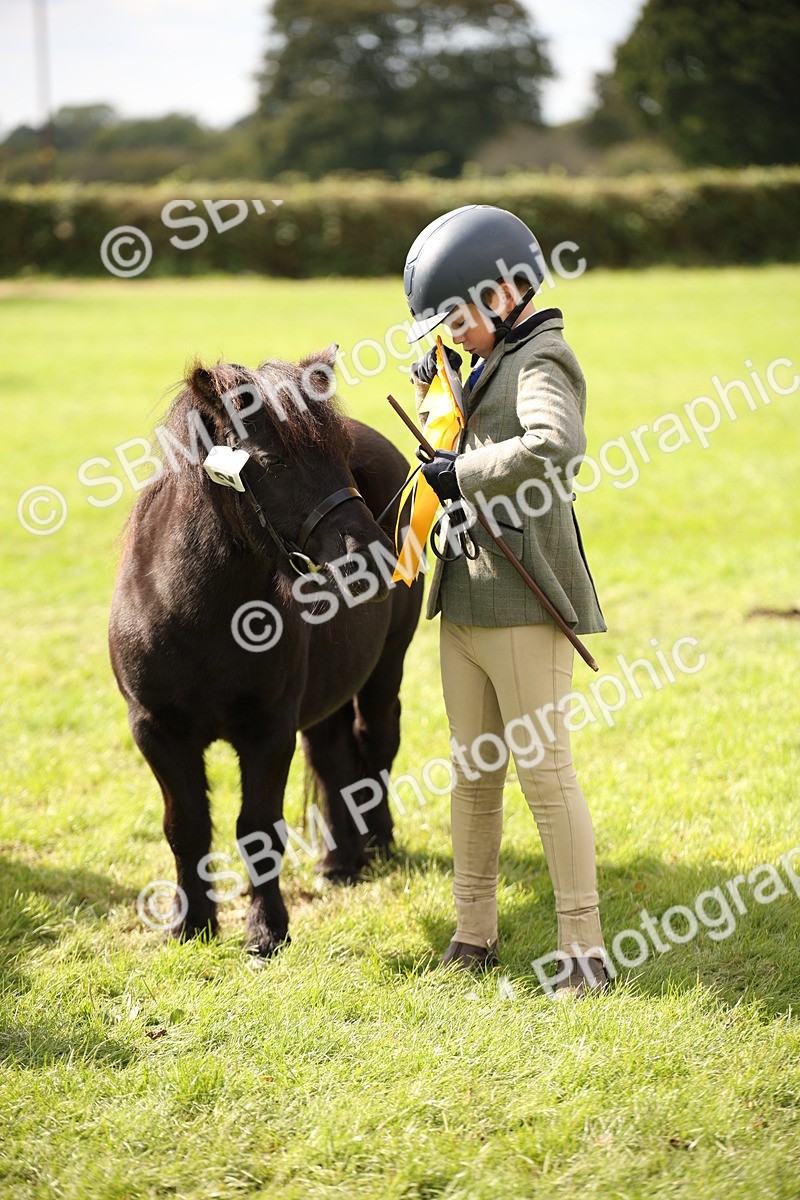 SBM_46426 - S25 - Mature Veteran In Hand