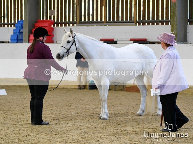 WJ5_3686 - Edited examples