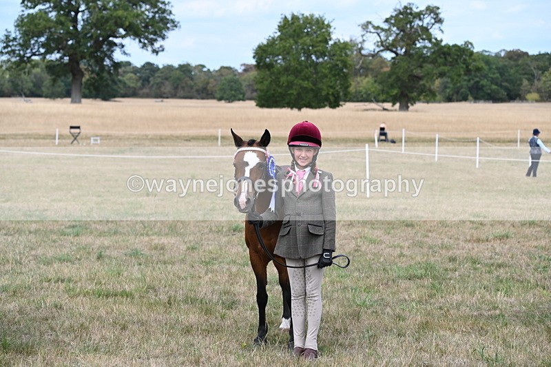 WJ6_6284 - Class 19 In-hand Veterans (Uploaded correct folder)