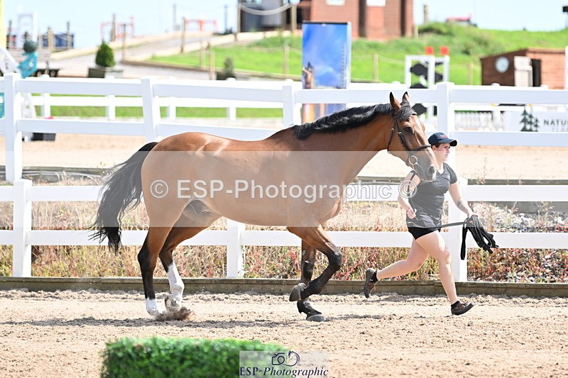 240717A-152302-02801 - Trot Up 3pm to 4pm