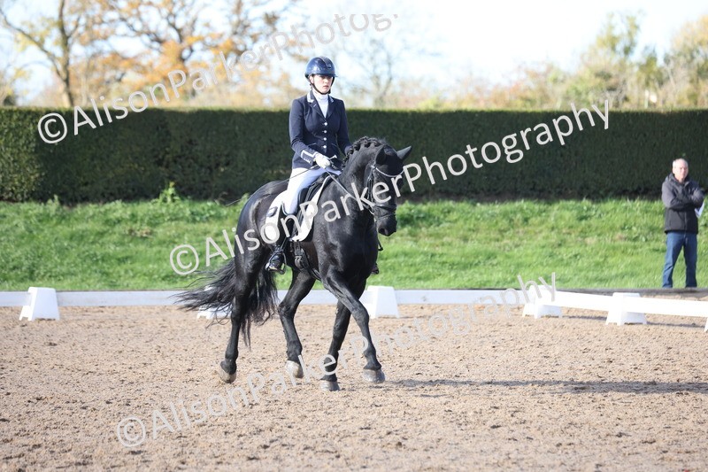 20251102-0609 - Class 4 - Novice 6