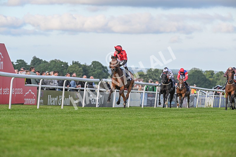 180624-Race 3-Sunny Orange-8585 - Race 3